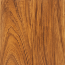 Acacia